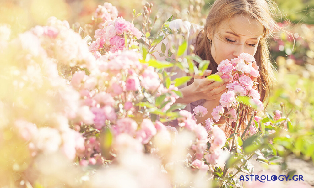 Ημερήσιες Προβλέψεις για όλα τα Ζώδια 14/03
