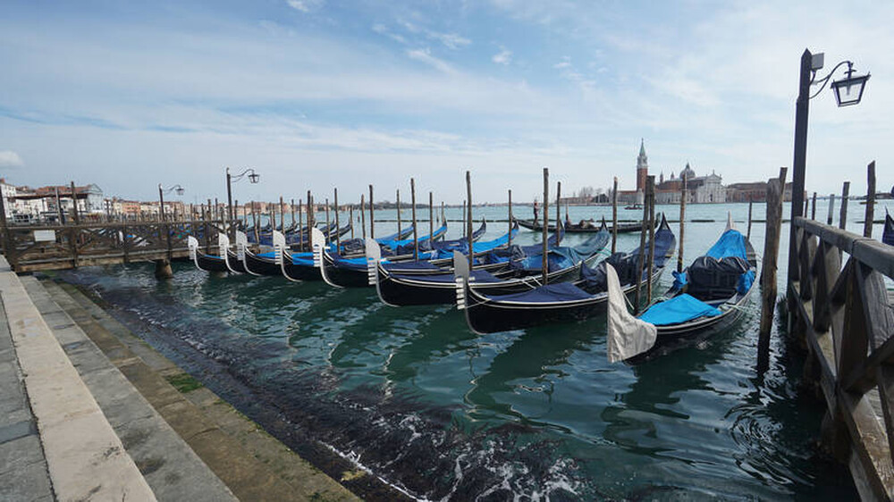 Οι τουρίστες εξαφανίστηκαν, τα ψάρια επέστρεψαν: Πιο καθαρά από ποτέ τα νερά της Βενετίας 