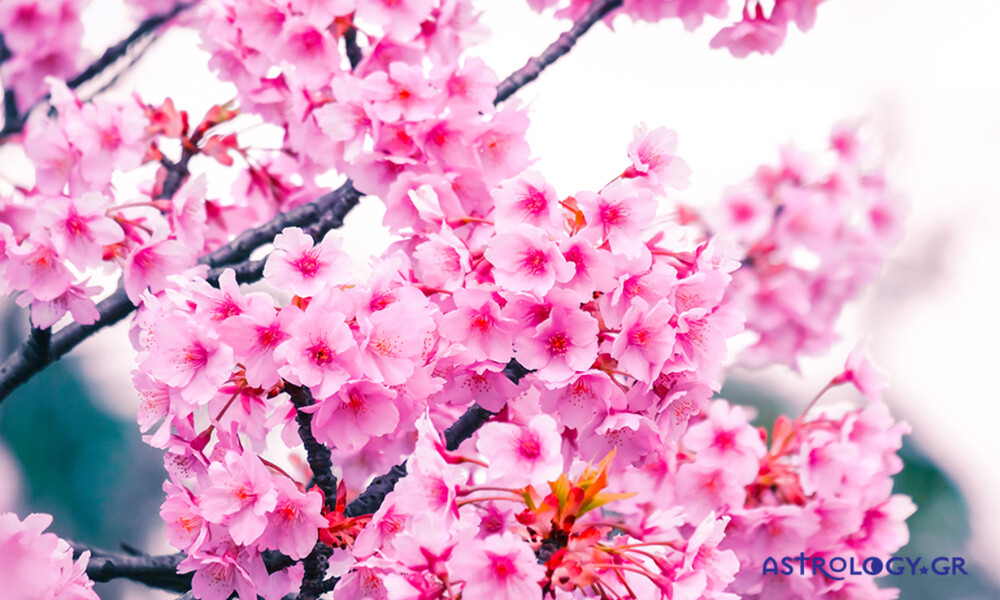 Ημερήσιες Προβλέψεις για όλα τα Ζώδια 24/03