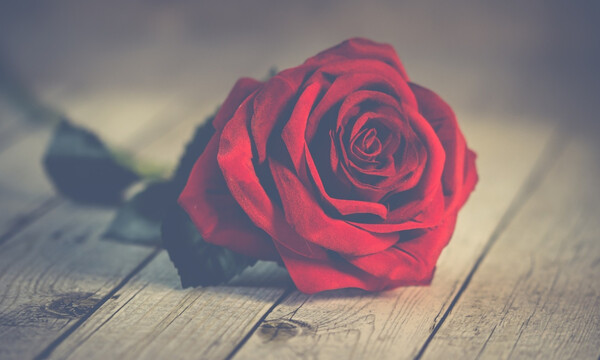 Απίστευτο πανό στην Πέτρου Ράλλη για τον έρωτα και τον κορονοϊό (photo)