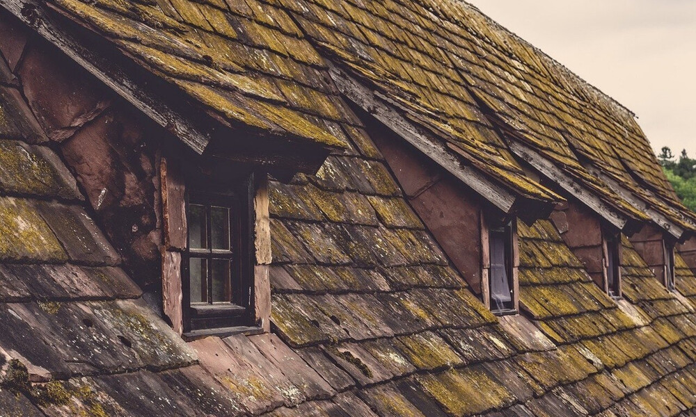 Άκουγαν θόρυβο στη στέγη τους - Έπαθαν σοκ μ' αυτό που αντίκρισαν (video)