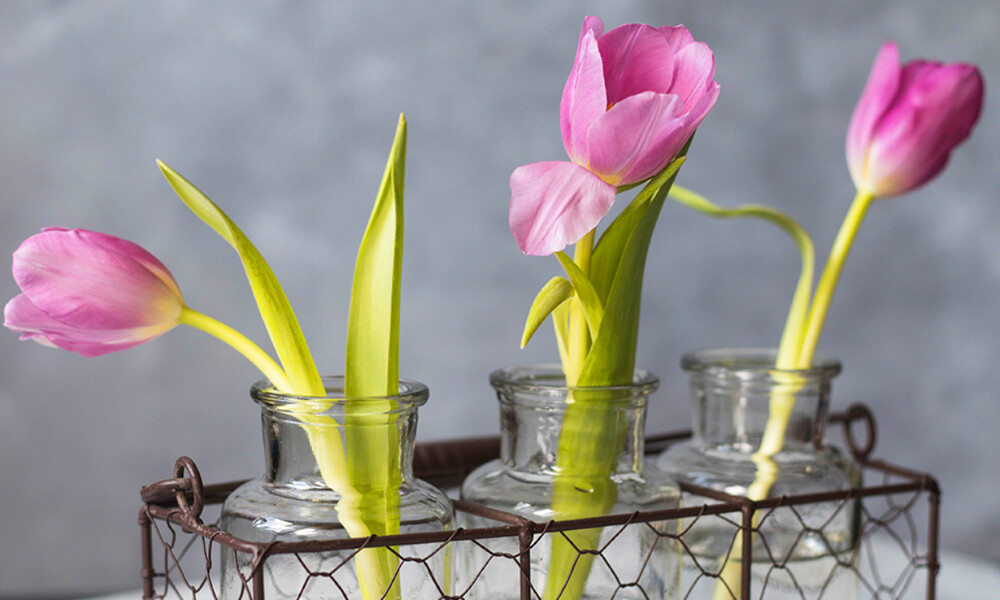 Ημερήσιες Προβλέψεις για όλα τα Ζώδια 31/03