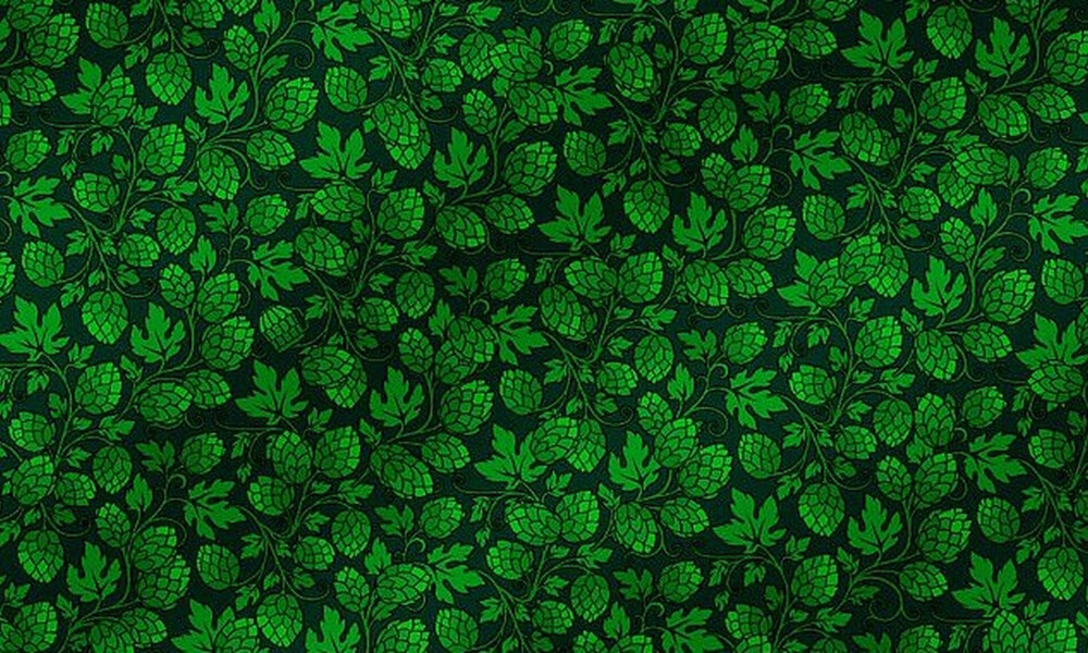 Κουίζ - πρόκληση! Σε 15 δευτερόλεπτα βρίσκεις το ποτήρι μπύρας μέσα στα φύλλα; (photos)