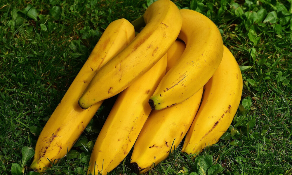 Αυτό είναι το κόλπο για να μην μαυρίζουν οι μπανάνες σας (video)