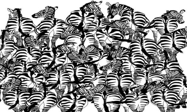 Χρειάζεται μεγάλη προσοχή - Μόλις το 5% μπορεί να το λύσει! Μπορείτε να βρείτε τον ασβό; (photos)