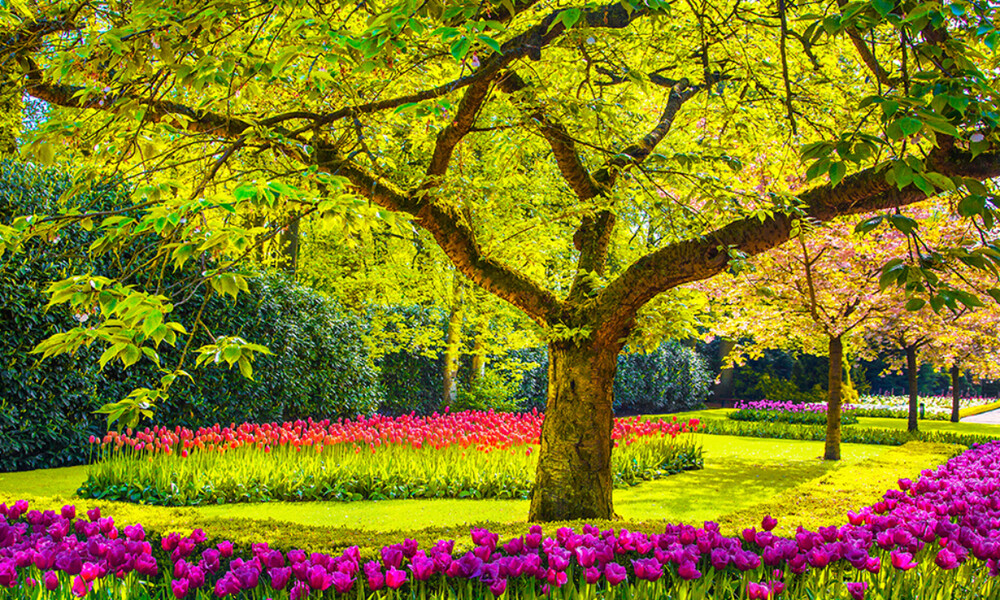 Ημερήσιες Προβλέψεις για όλα τα Ζώδια 11/04