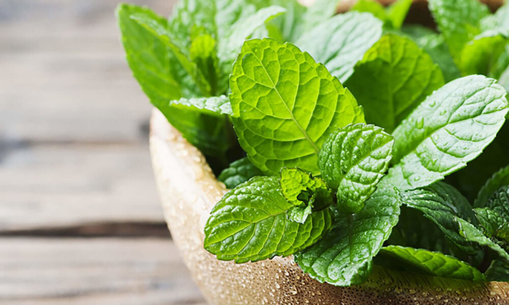 Απώλεια βάρους: Γνωρίστε 9 φυσικά κατασταλτικά της όρεξης (φωτο)