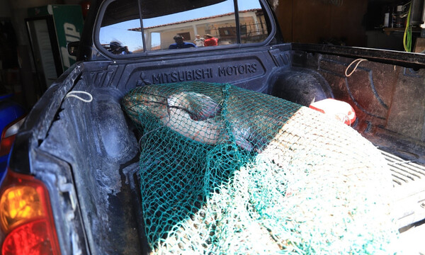 Χαμός στην Κοζάνη! Ψαράδες σήκωσαν τα δίχτυα τους και τρελάθηκαν από χαρά με ψάρι - θηρίο (photos)