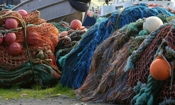 Ψαράς σήκωσε τα δίχτυα του και τρελάθηκε - Αυτό που έβγαλε έφερε πανικό στους ντόπιους (photo)
