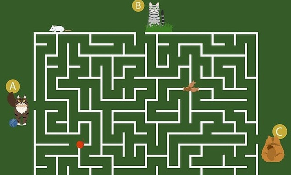 Μοιάζει εύκολο αλλά πολλοί αποτυγχάνουν! Εσείς μπορείτε να τα καταφέρετε; (photos)