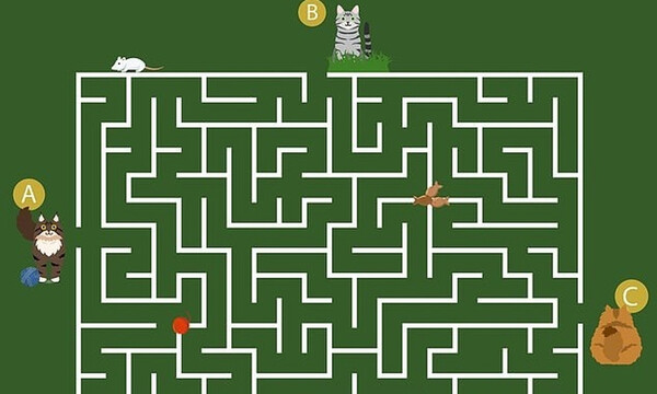 Μοιάζει εύκολο αλλά πολλοί αποτυγχάνουν! Εσείς μπορείτε να τα καταφέρετε; (photos)