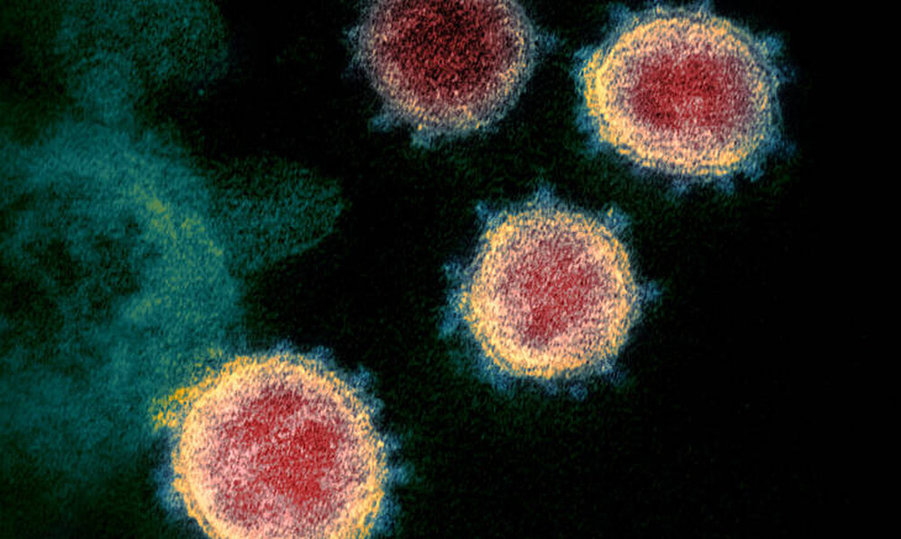 Ανοσία στον κορωνοϊό: Μια περίπλοκη υπόθεση