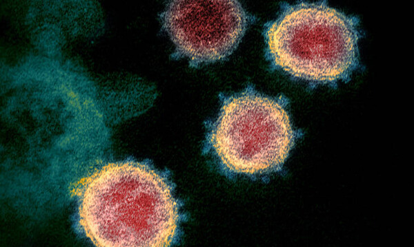 Ανοσία στον κορωνοϊό: Μια περίπλοκη υπόθεση