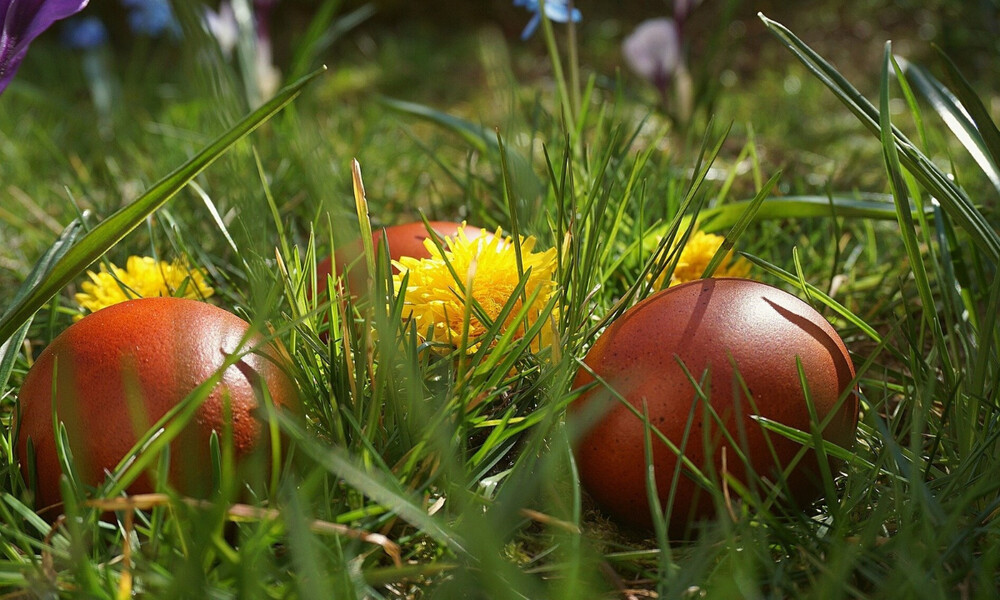 Απίστευτη Ελληνίδα γιαγιά: Η χειρόγραφη «βεβαίωση» για τα πασχαλινά αυγά (video)