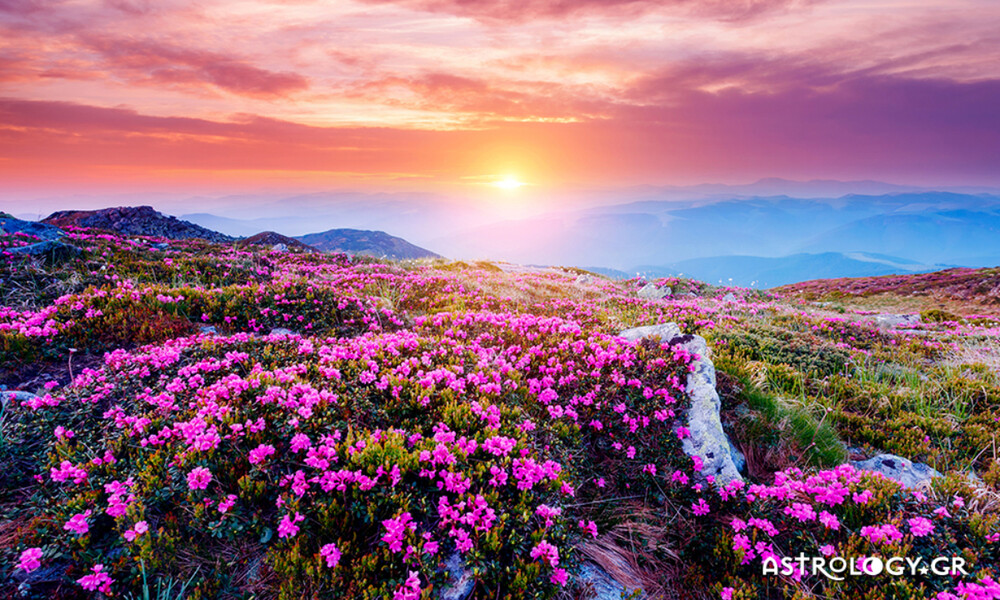 Ημερήσιες Προβλέψεις για όλα τα Ζώδια 24/04