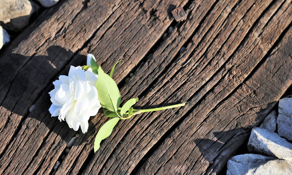 Σοκαριστική είδηση: Αυτοκτόνησε πασίγνωστο μοντέλο (photos)