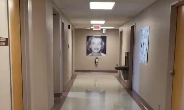 Βλέπετε μία κοπέλα στον πίνακα; Η αλήθεια θα σας τρελάνει (video)