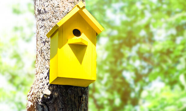 Ημερήσιες Προβλέψεις για όλα τα Ζώδια 28/04