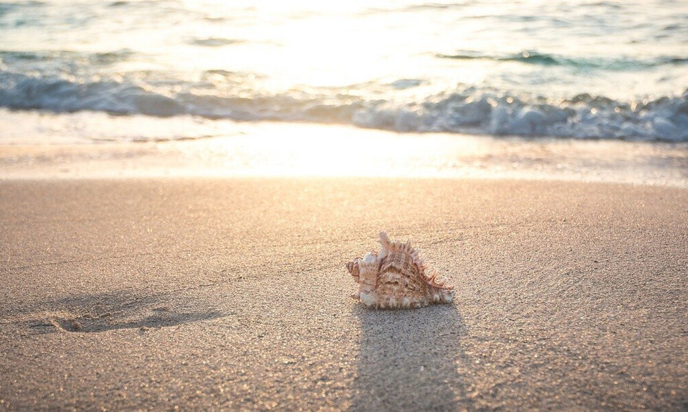 Κοριτσάκι μάζευε κοχύλια - Έπαθαν σοκ οι γονείς της μόλις είδαν τι βγήκε από μέσα (video)