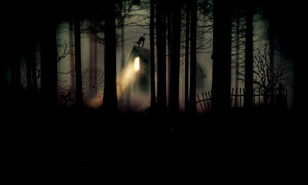 Αδιανόητο: Την έθαψαν οι μεθυσμένοι γείτονες - Δείτε πώς γλίτωσε (photos)