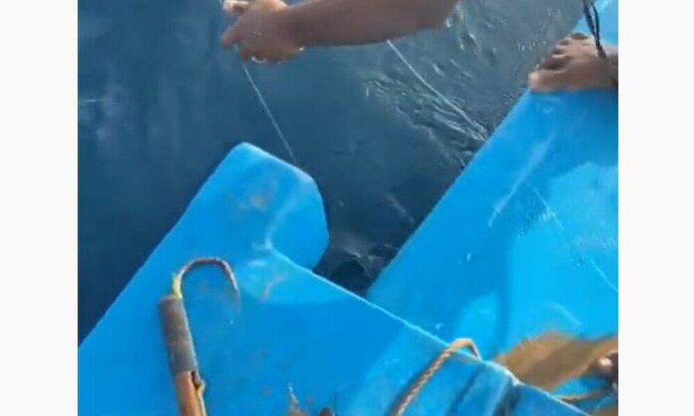 Ψάρεμα: Δόλωσε ένα ψαράκι και το έριξε στο βυθό! Δείτε τον.. Γολιάθ που σήκωσε (vid)