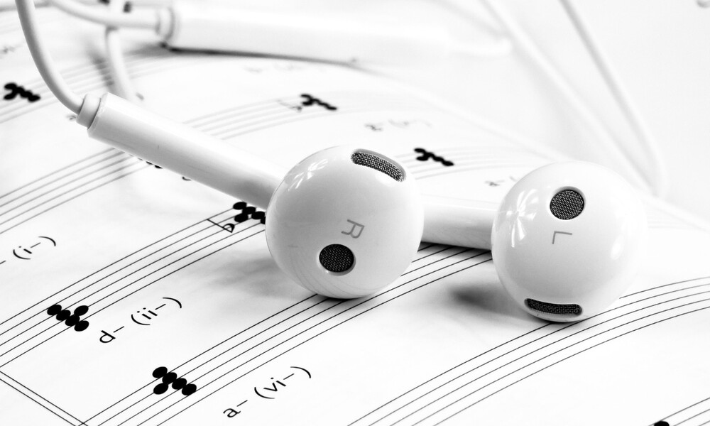 Παρήγγειλε ακουστικά από το internet - Δεν φαντάζεστε τι ήρθε σπίτι της (photo)