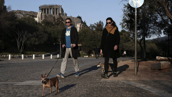 Δήμος Αθηναίων: Δωρεάν τοποθέτηση microchip σε όλους τους σκύλους και τις γάτες 