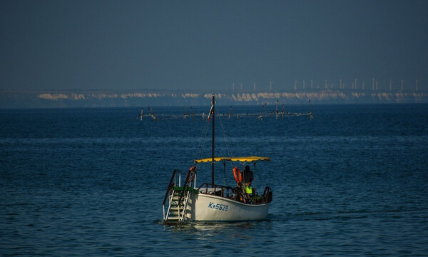 Βγήκαν για ψάρεμα στα ανοικτά - Αυτό που είδαν κάτω από την βάρκα τους δεν θα το ξεχάσουν (video)