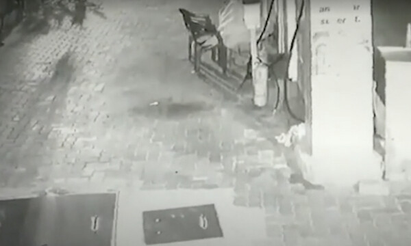 Κοιμόταν στη δουλειά του και δέχθηκε μία σοκαριστική… επίσκεψη (video)