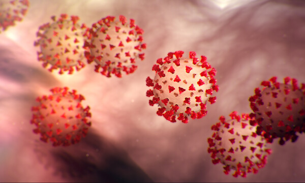 Θρήνος: «Έσβησε» 28χρονος αθλητής, είχε μολυνθεί από κορονοϊό (photos)