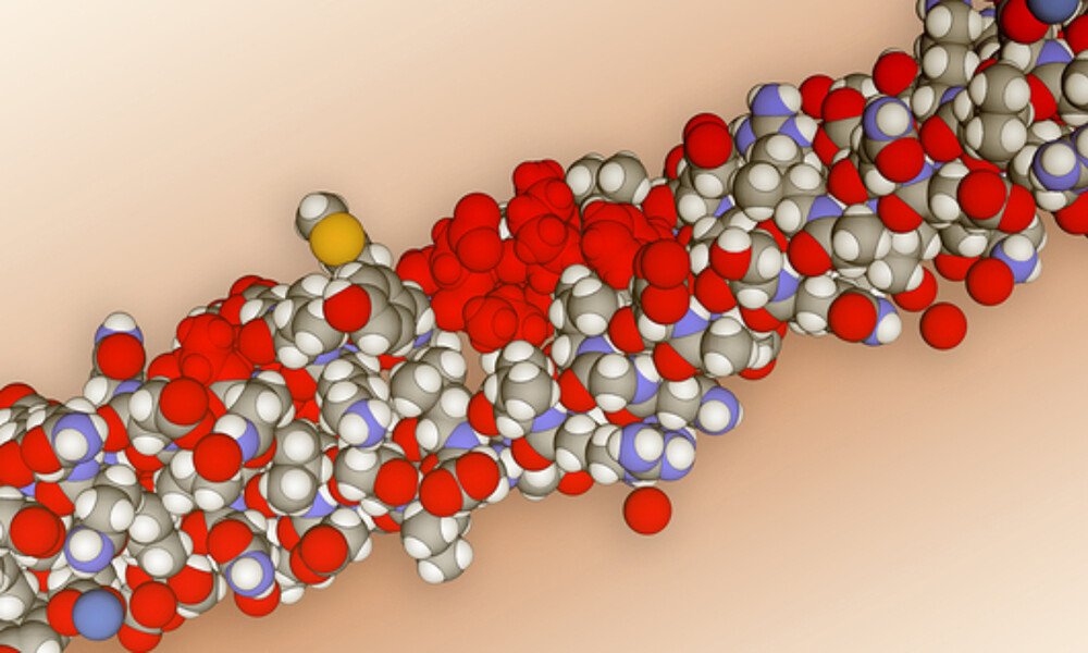 Κερατίνη: Πού θα βρείτε την απαραίτητη πρωτεΐνη για μαλλιά, νύχια και δέρμα (εικόνες)