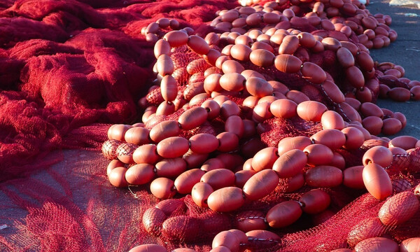 Ψαράδες σήκωσαν τα δίχτυα και τρελάθηκαν με ότι είδαν - Πανηγύριζαν γι' αυτό που ακολούθησε (video)