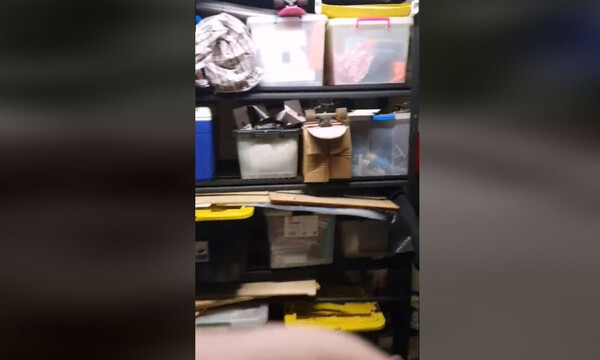 Άκουσε περίεργο θόρυβο στην αποθήκη - «Πάγωσε» μόλις είδε τι ήταν! (video)