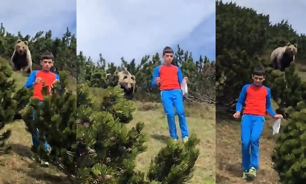 Έκανε πικ νικ με τους γονείς αλλά εμφανίστηκε αρκούδα - Απίστευτη η αντίδρασή του (photos+video)