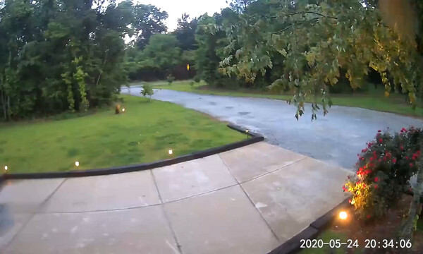 Κοίταξαν την κάμερα ασφαλείας - «Πάγωσαν» μ' αυτό που είδαν (video)