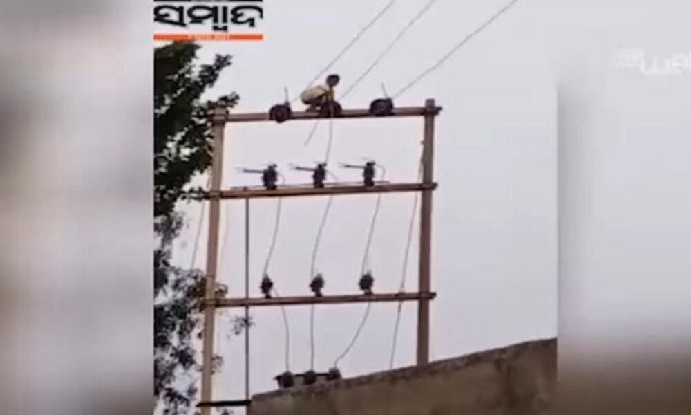 Ινδία: Δείτε τον πιτσιρικά... Μόγλη της πόλης (video)