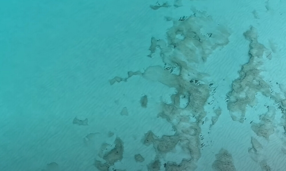 Το επτασφράγιστο εξωτικό... μυστικό της Αργολίδας (video)