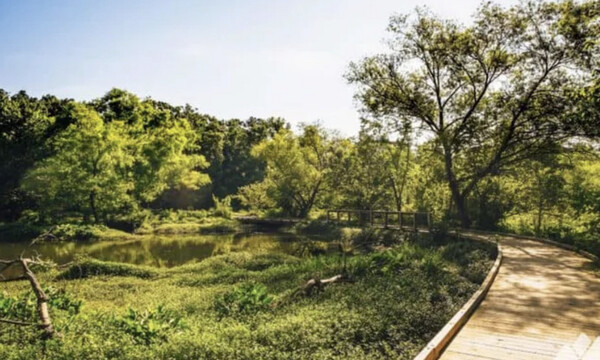 Το πιο ανατριχιαστικό μονοπάτι στον κόσμο - Δες τι συναντάς εκεί (photos)