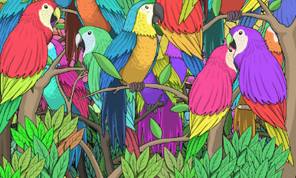 Τεστ: Σε αυτή τη φωτογραφία υπάρχει μία πεταλούδα – Μπορείς να τη βρεις; (photos)