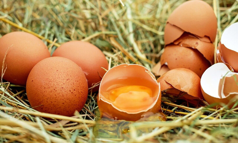 Μικρές κηλίδες στα αυγά - Δεν φαντάζεστε τι είναι (photos)