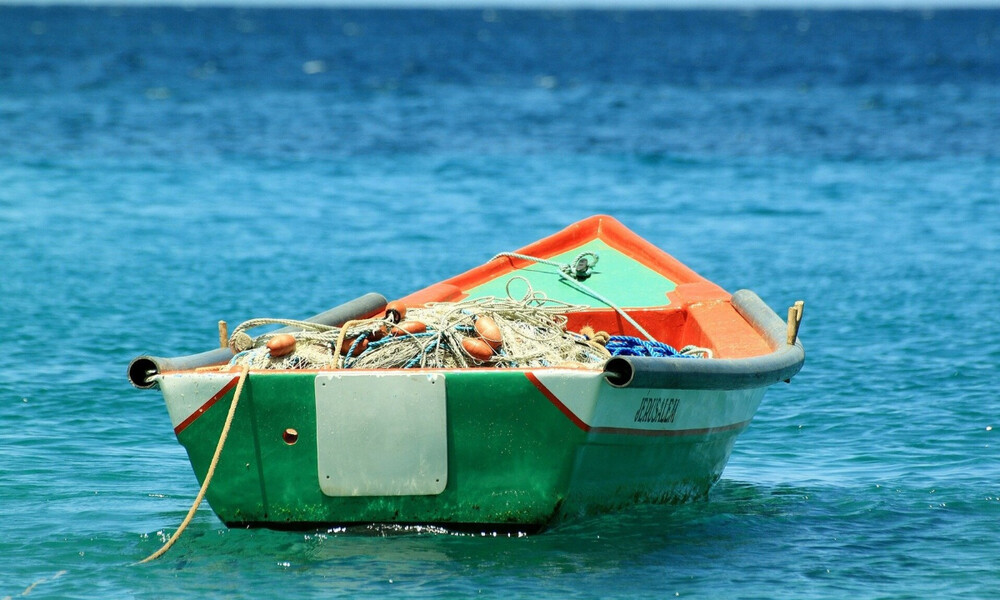 Ψαράδες τρελαίνονται με μια «ψαριά» 5.000 ετών (video)