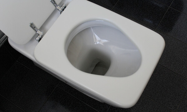 Έριξε γιαούρτι στη λεκάνη - Θα τρελαθείτε μόλις το κάνετε (photos)