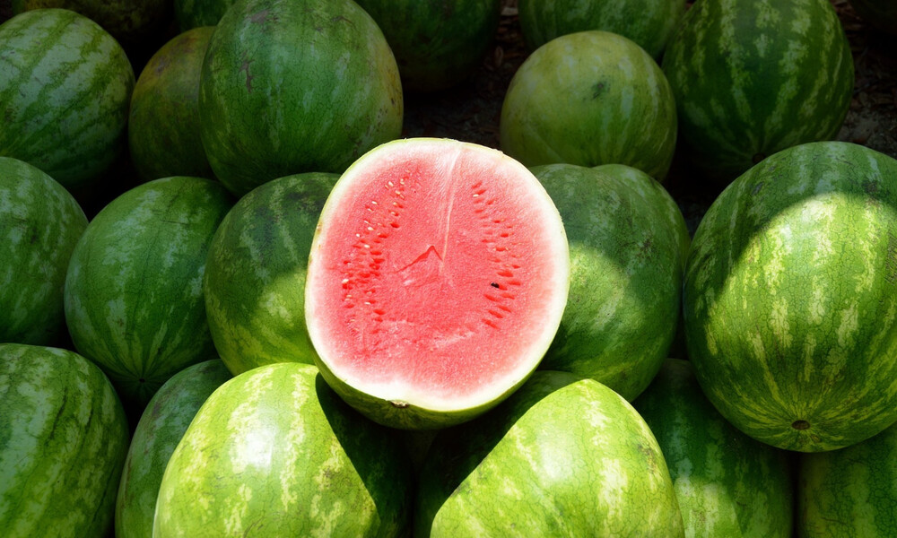 Καρπουζάς έγινε αστέρι της... FIBA (video)