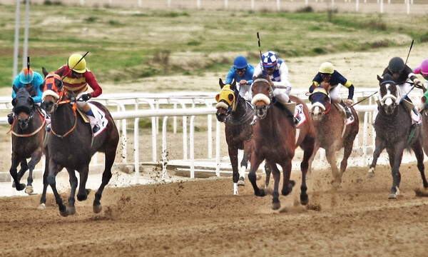 Markopoulo Park: Τζακ ποτ 100.000 ευρώ στο ΣΚΟΡ 6