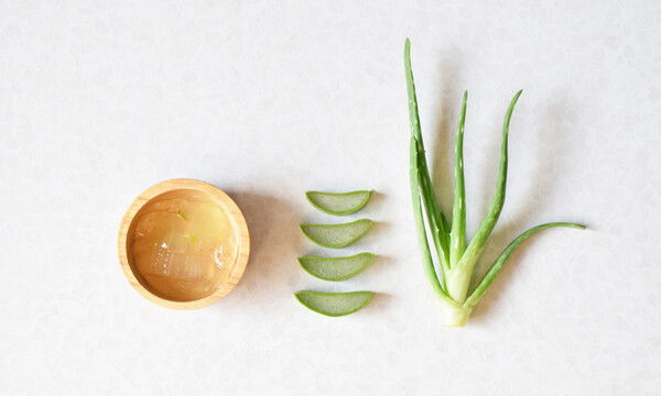 Επτά φυσικές λύσεις για τα τσιμπήματα των κουνουπιών (εικόνες)