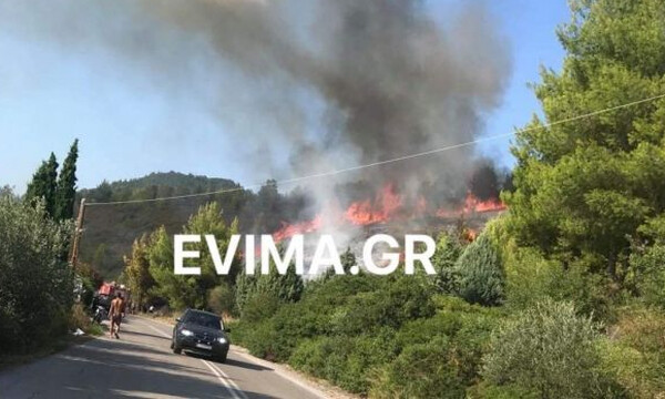 Μεγάλη φωτιά ΤΩΡΑ στην Εύβοια - Κοντά σε σπίτια οι φλόγες