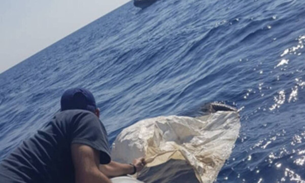 Κρήτη: Έσωσαν τραυματισμένο όρνεο από τη θάλασσα (photos)