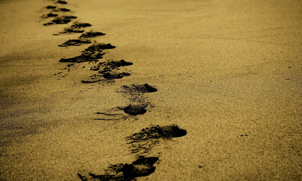 Πάτρα: Τρόμος σε παραλία - Τι ξέβρασε η θάλασσα