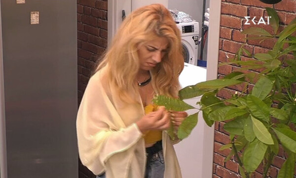 Big Brother: Η Άννα Μαρία κινδυνεύει με πειθαρχική δίωξη από τον ΔΣΑ