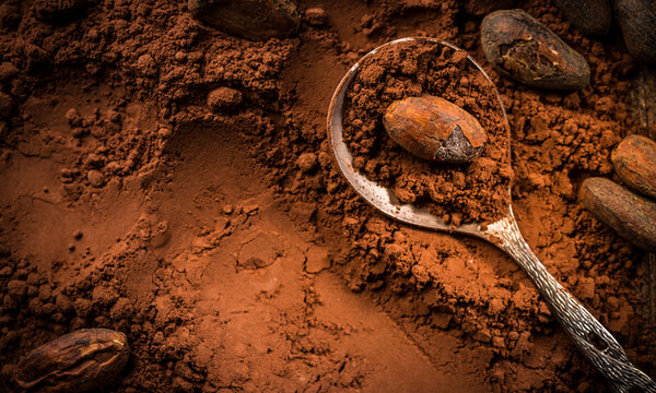 Κακάο: Τα επιστημονικά τεκμηριωμένα οφέλη του για την υγεία (εικόνες)